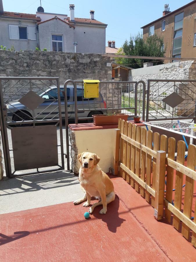 Studio Apartman Danijela Pula Eksteriør billede